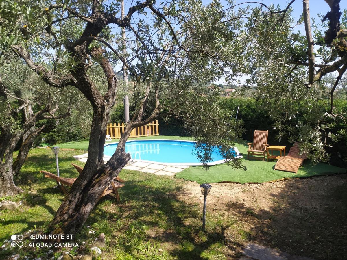 Il Borgo Dei Pini Διαμέρισμα Βίντσι Εξωτερικό φωτογραφία