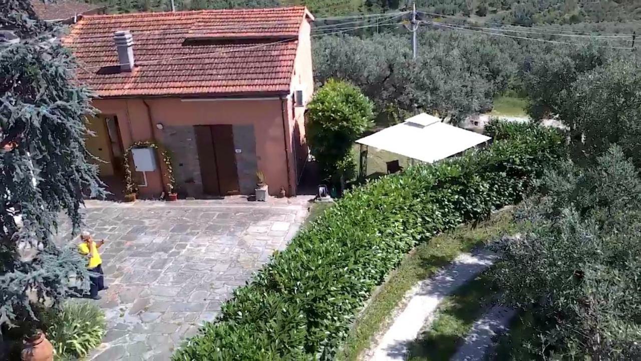 Il Borgo Dei Pini Διαμέρισμα Βίντσι Εξωτερικό φωτογραφία