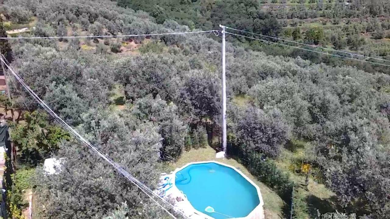 Il Borgo Dei Pini Διαμέρισμα Βίντσι Εξωτερικό φωτογραφία