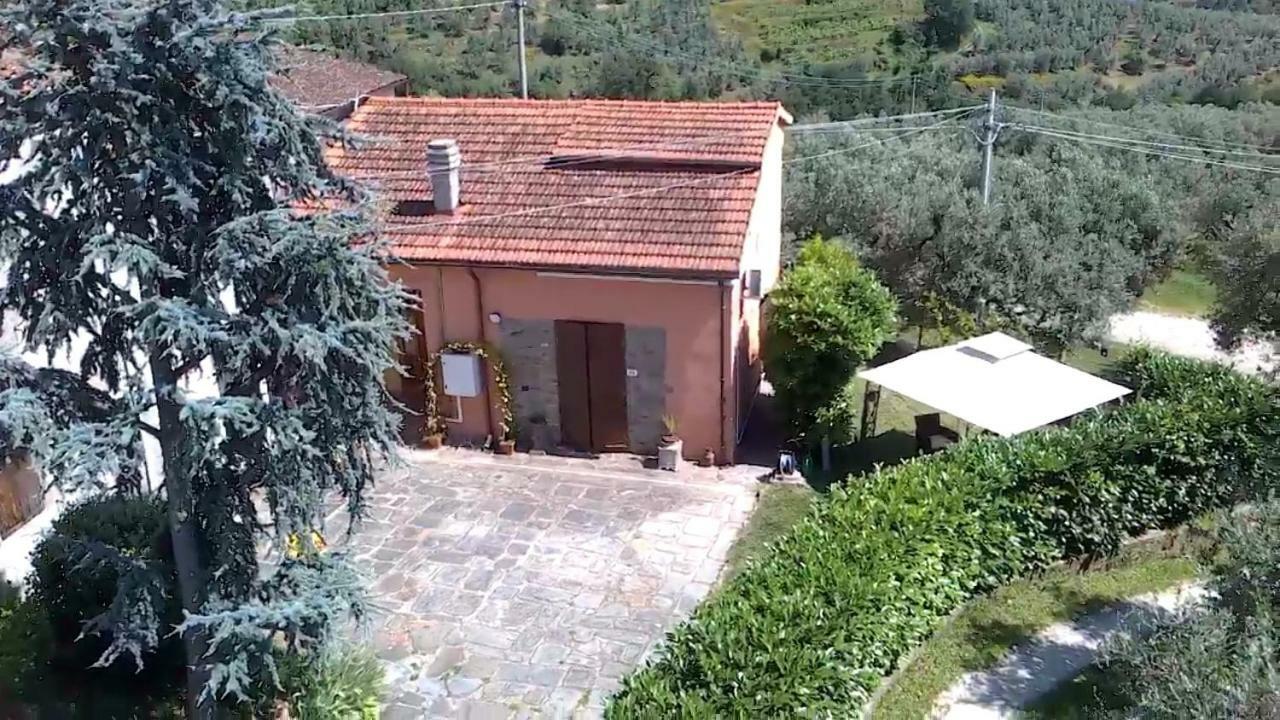 Il Borgo Dei Pini Διαμέρισμα Βίντσι Εξωτερικό φωτογραφία